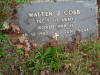 cobb ts walter